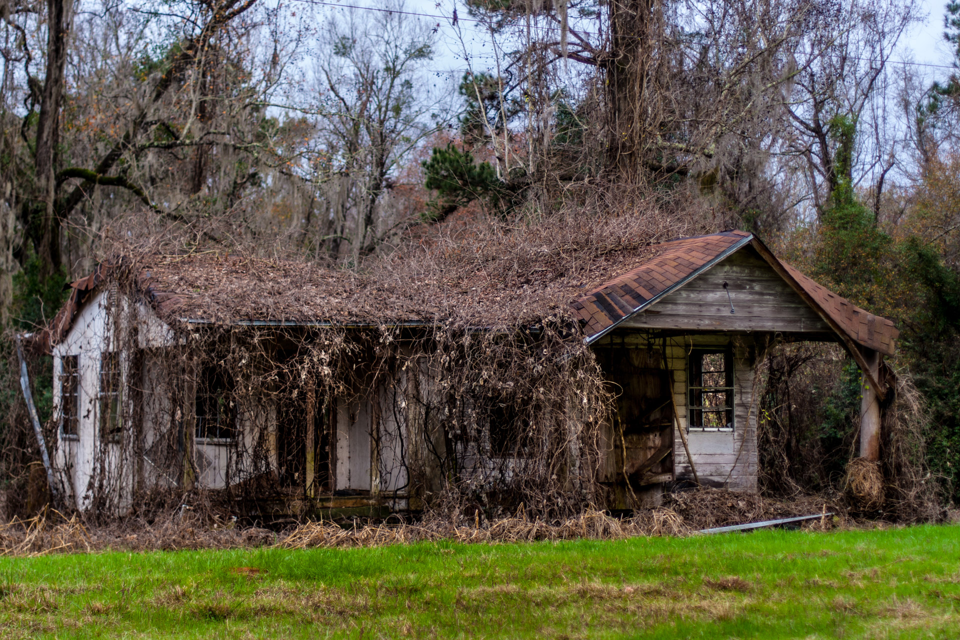 Tallahassee, Florida - A Covered Roof House (left close)