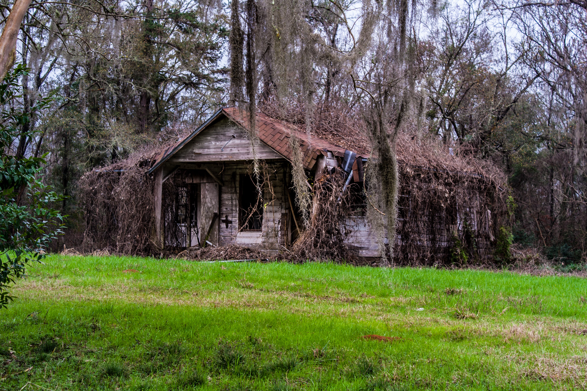 Tallahassee, Florida - A Covered Roof House (right close)