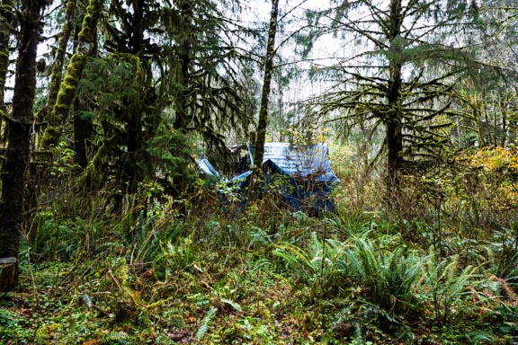 Olympic National Park, Washington - A Protected House