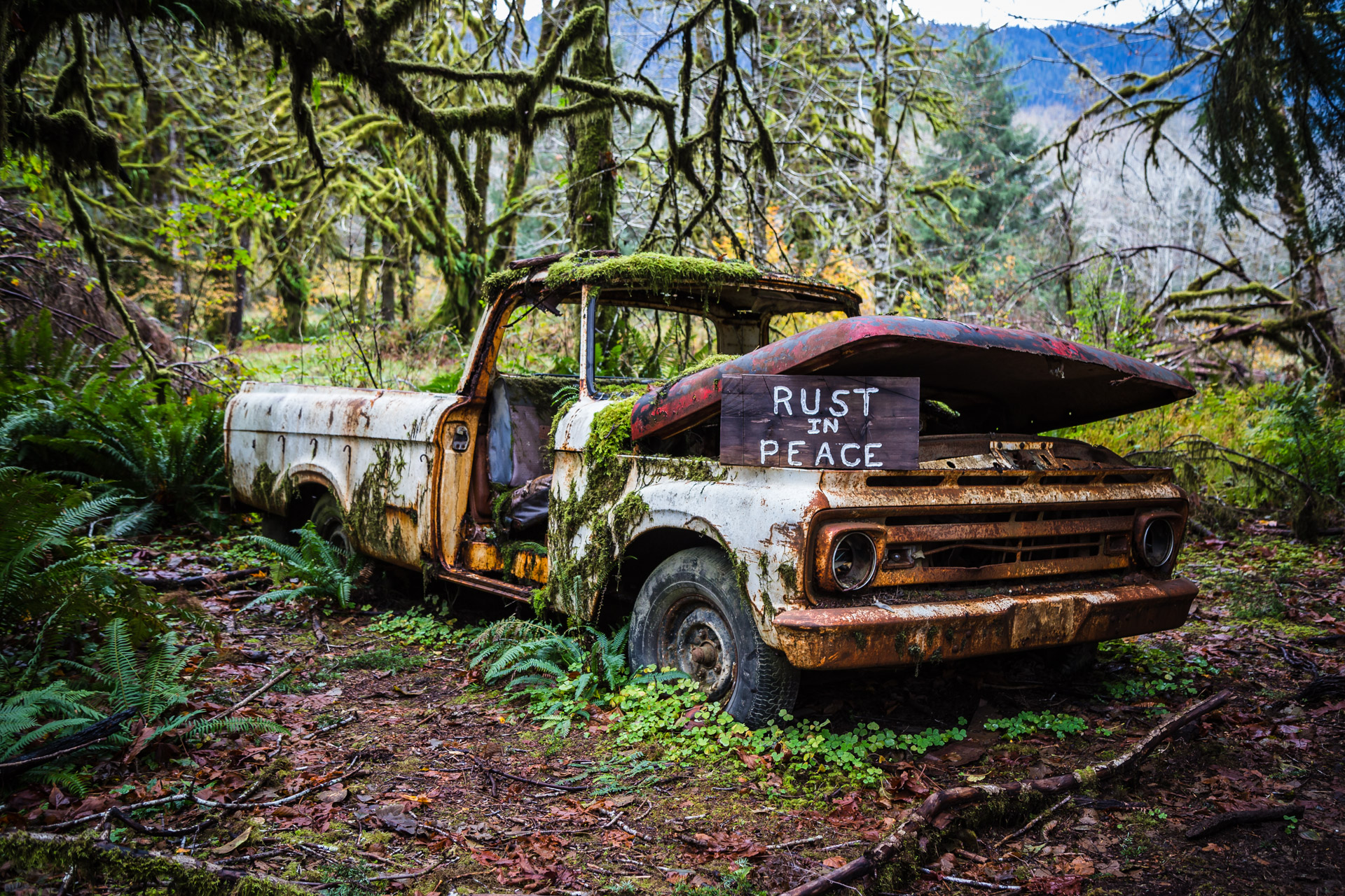 Rusty Forest Truck (close angle 1)