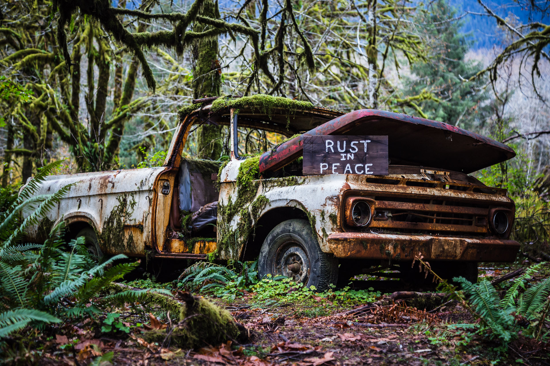 Rusty Forest Truck (close side)
