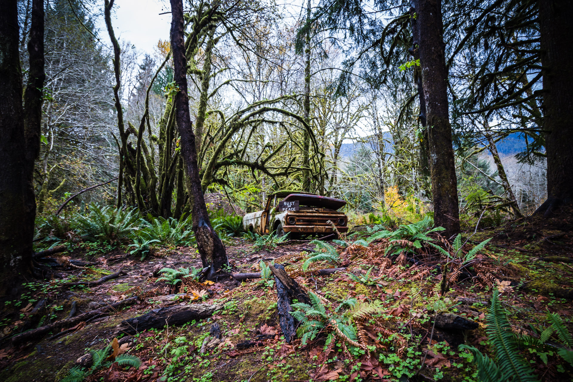 Rusty Forest Truck (far angle)