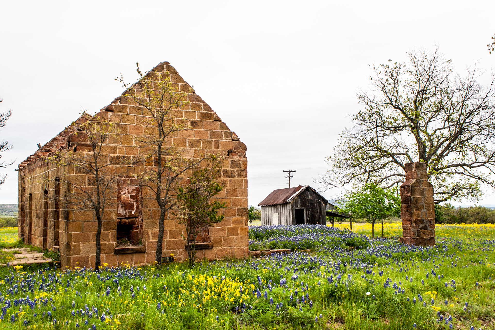 Pontotoc, Texas - A Stone Ruin With Bluebonnets (angle left)