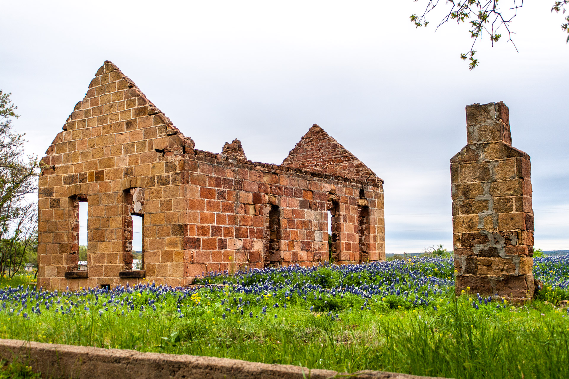 Pontotoc, Texas - A Stone Ruin With Bluebonnets (angle right)