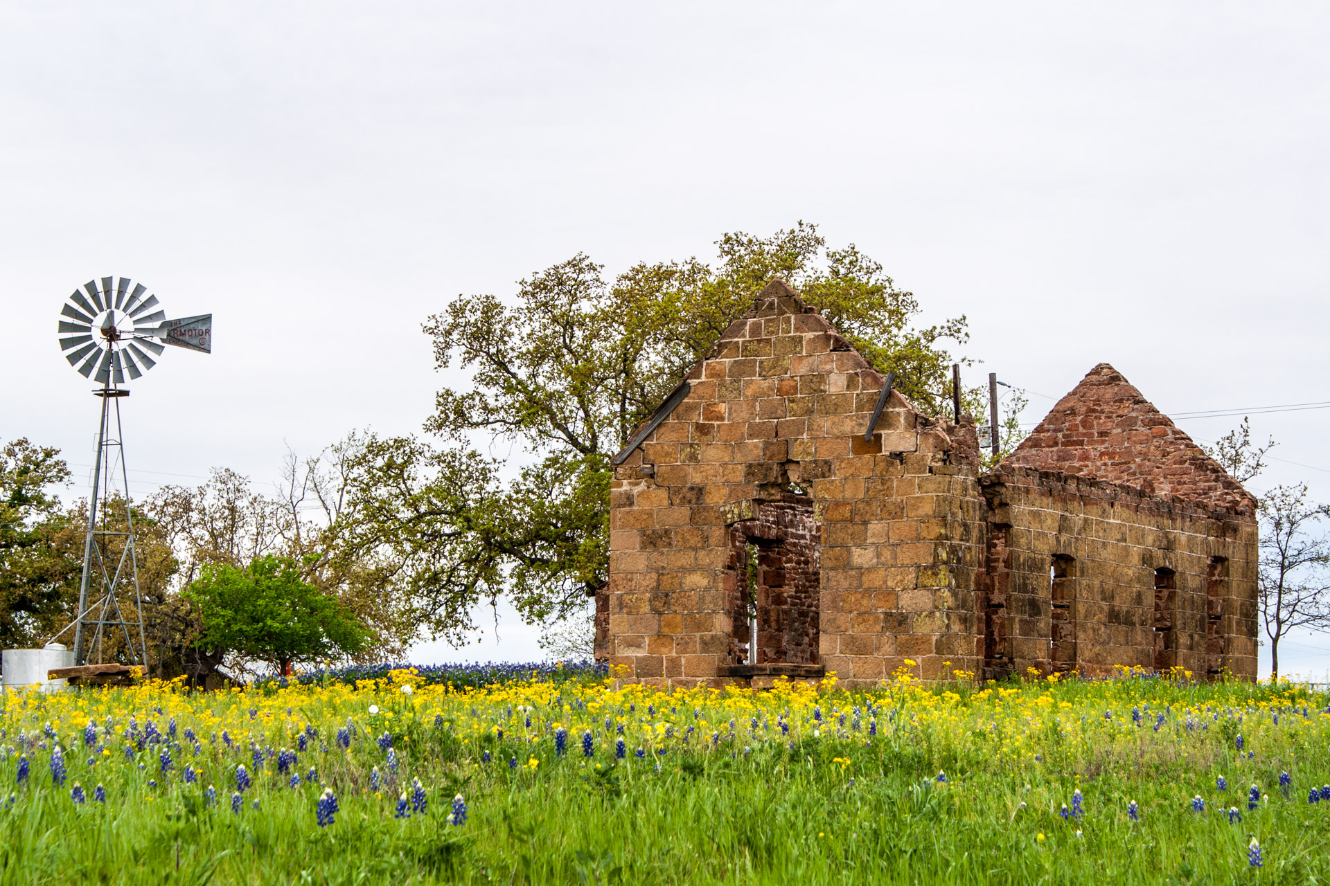 Pontotoc, Texas - A Stone Ruin With Bluebonnets (back far)
