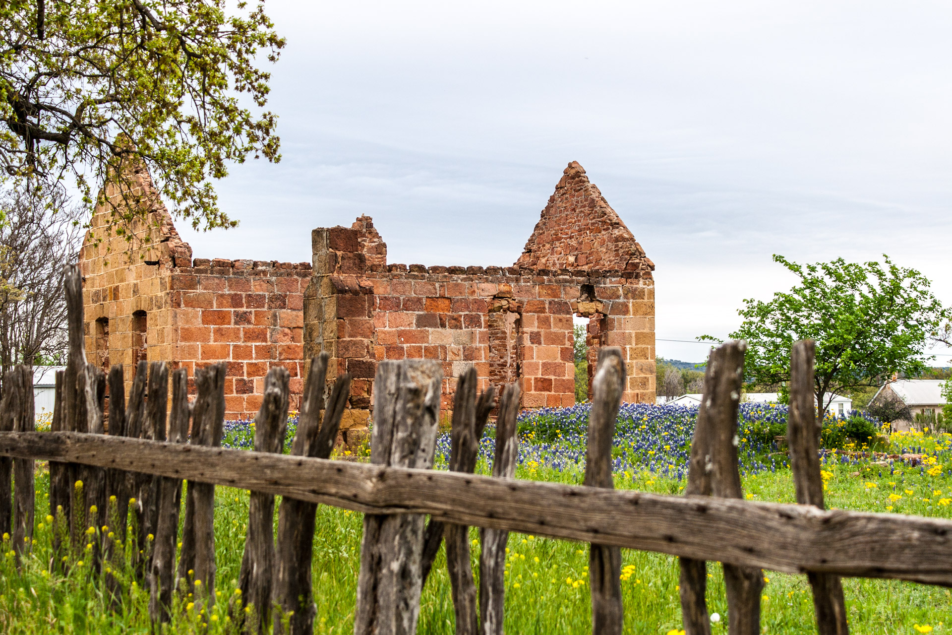 Pontotoc, Texas - A Stone Ruin With Bluebonnets (behind fence)