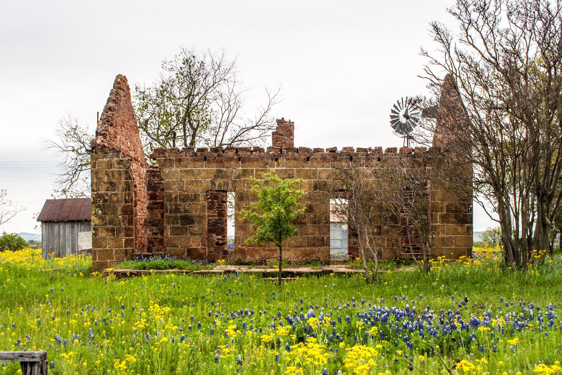 Pontotoc, Texas - A Stone Ruin With Bluebonnets (side mid)