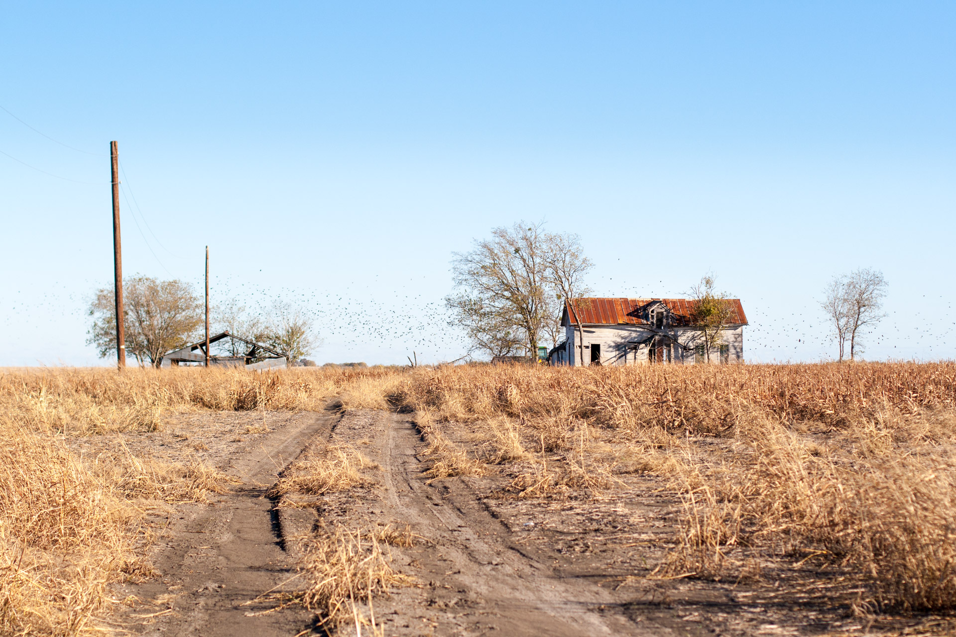 Coupland, Texas - Birds And Shadows Farmhouse (front with barn)