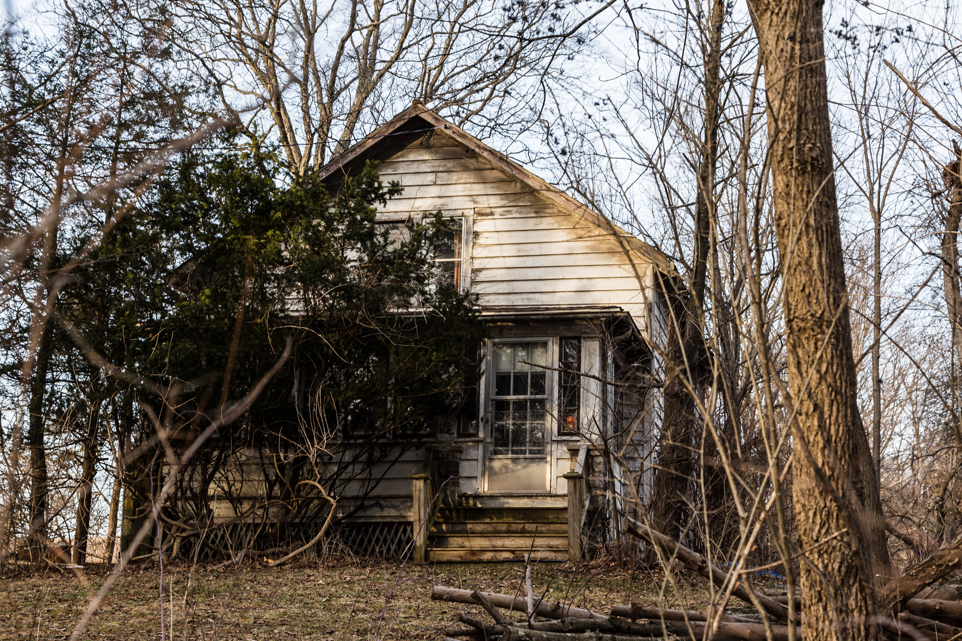 Invading Tree House (front close)