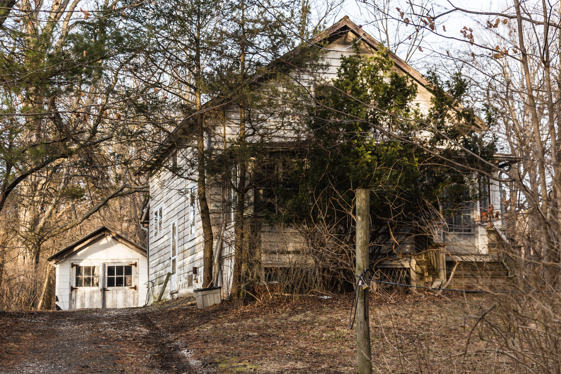 Invading Tree House (front left close)