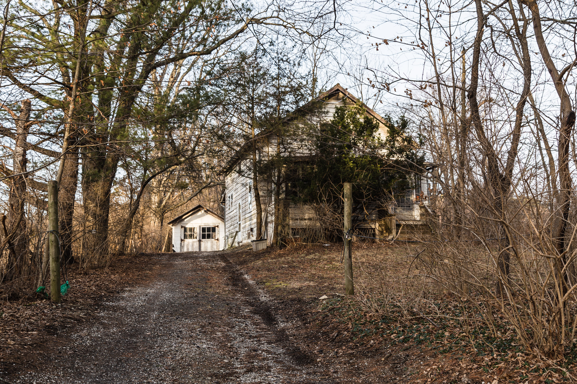 Fredon Township, New Jersey - Invading Tree House