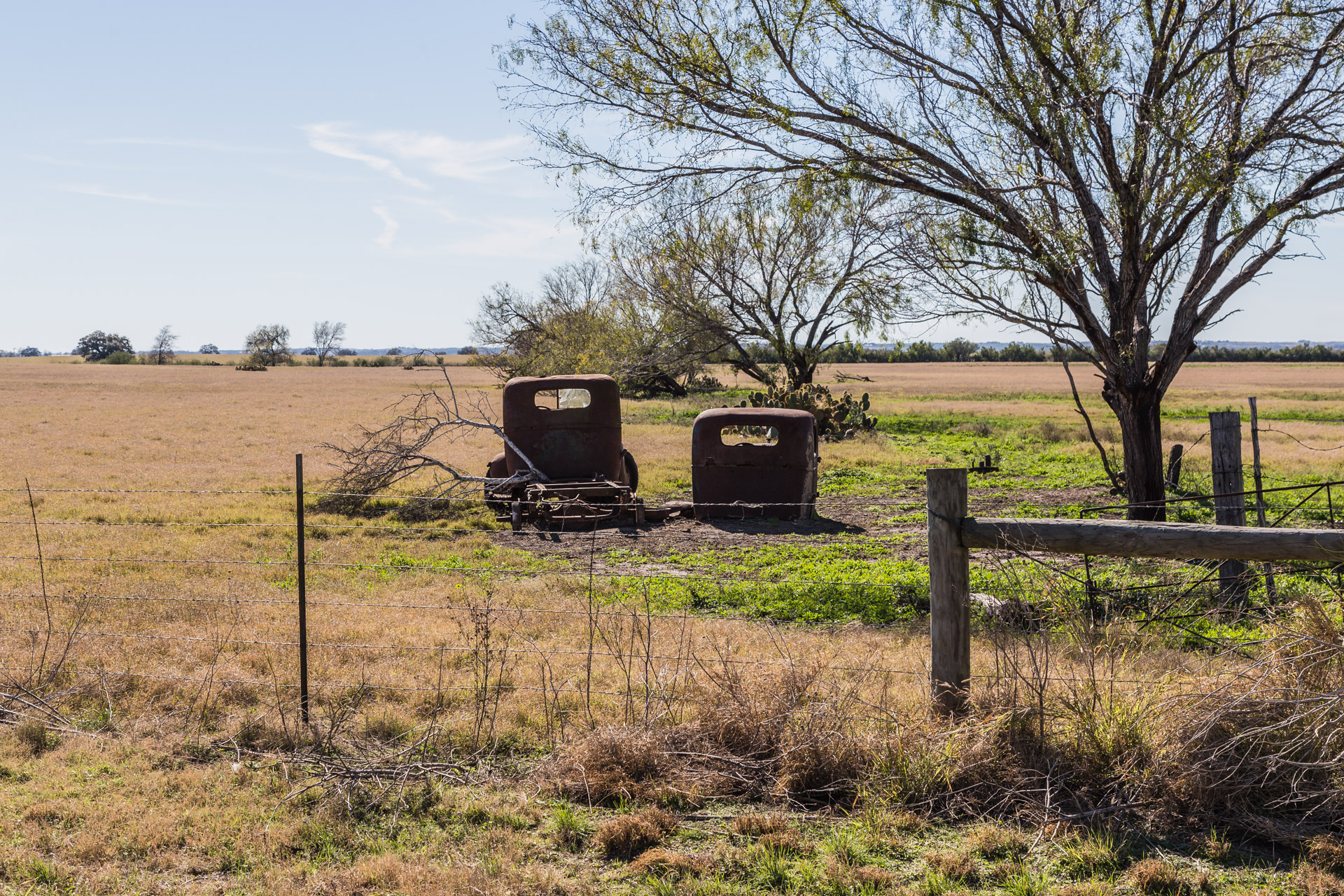 Rusty Vintage Trucks (back fence)