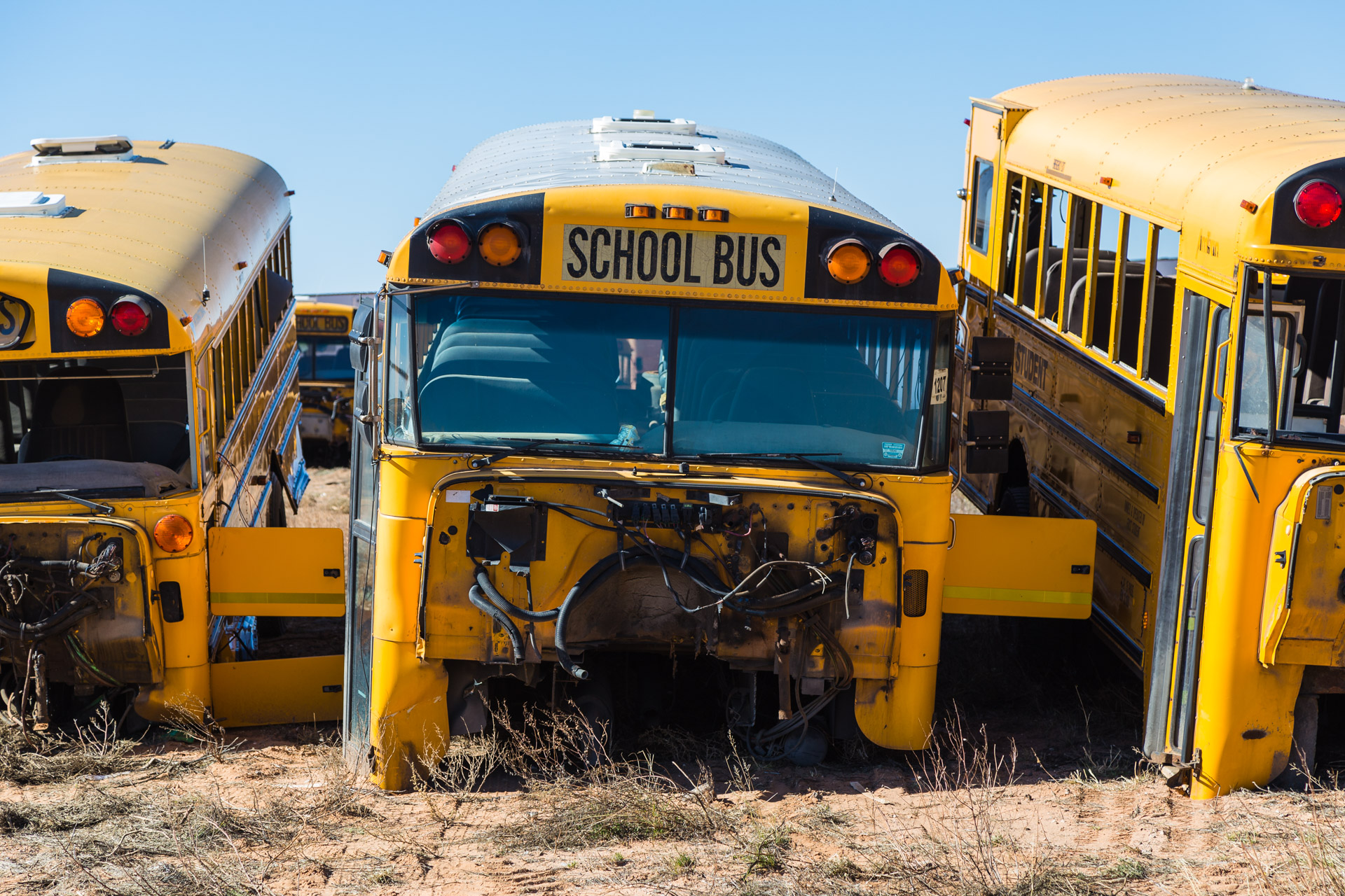 School Bus Graveyard (front bus close)