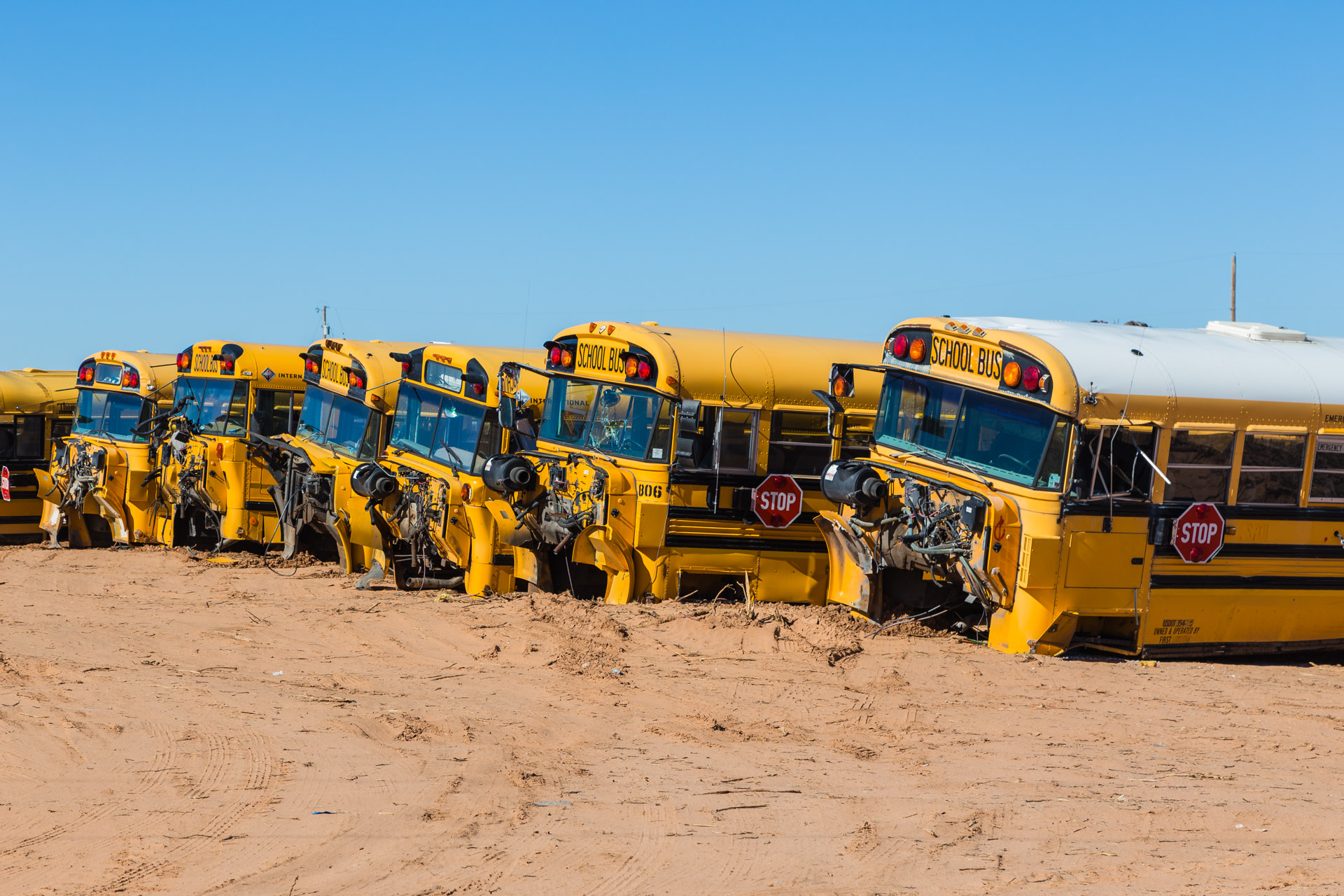 School Bus Graveyard (front bus mid)