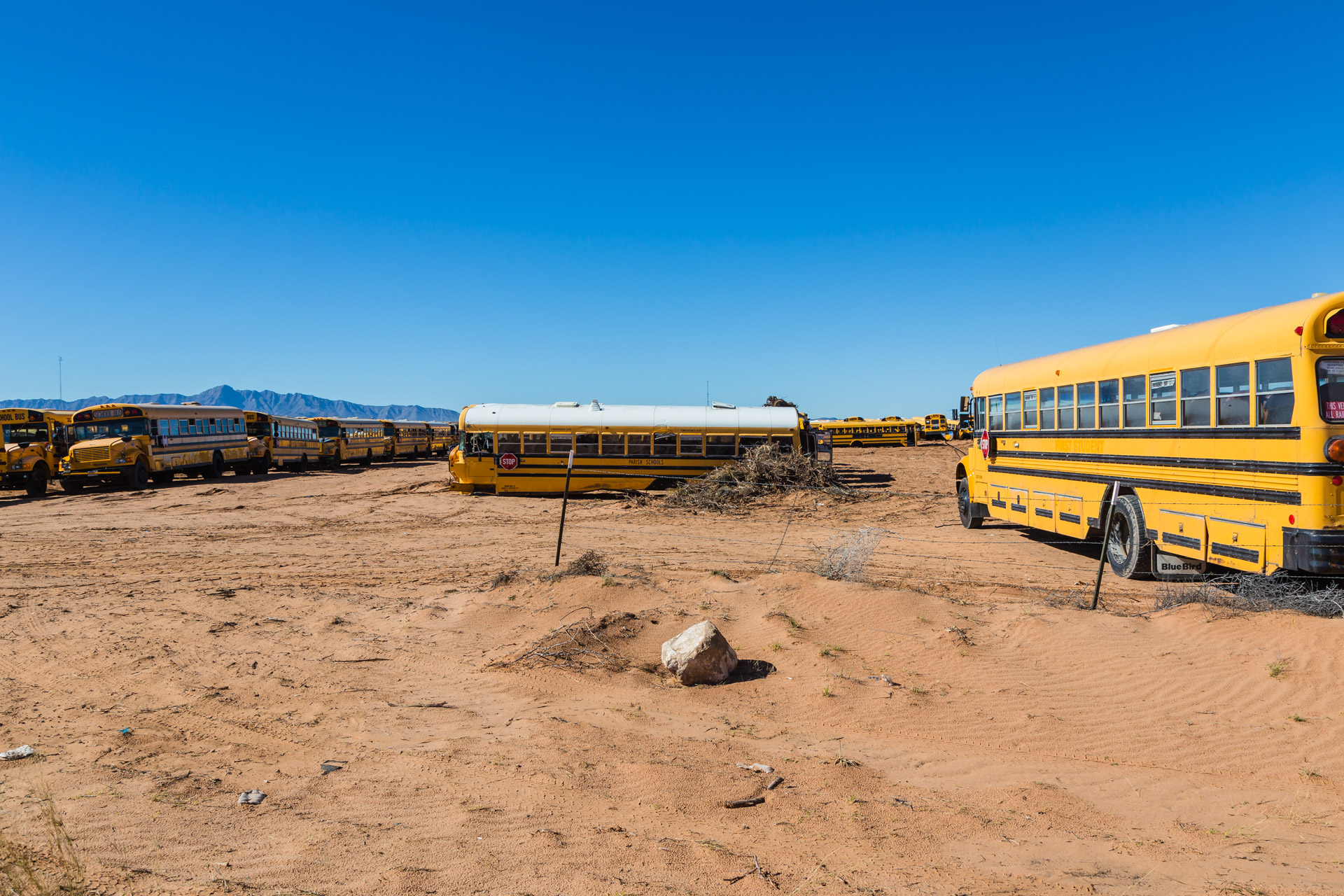 School Bus Graveyard (left side far)