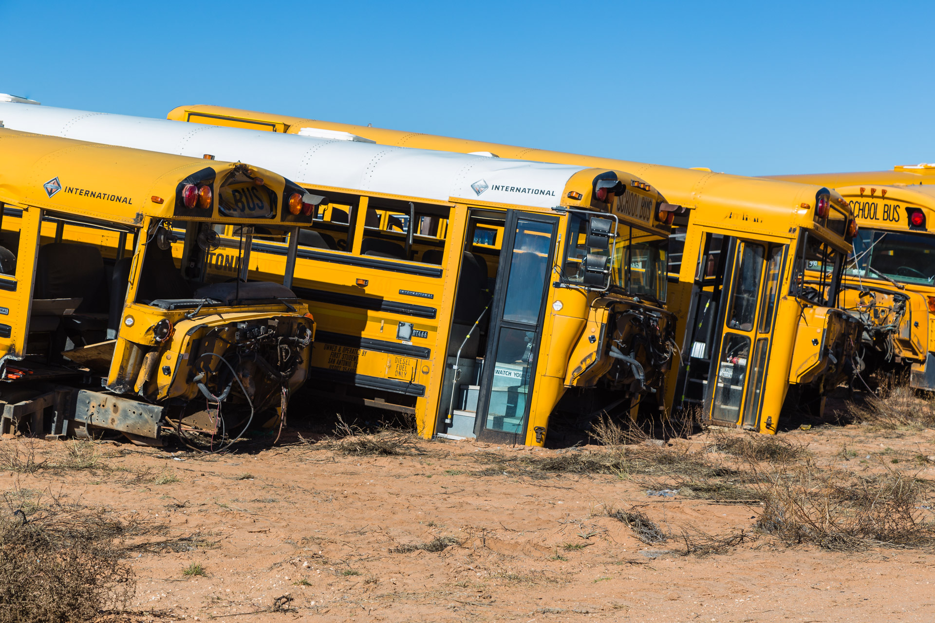 School Bus Graveyard (side bus close)