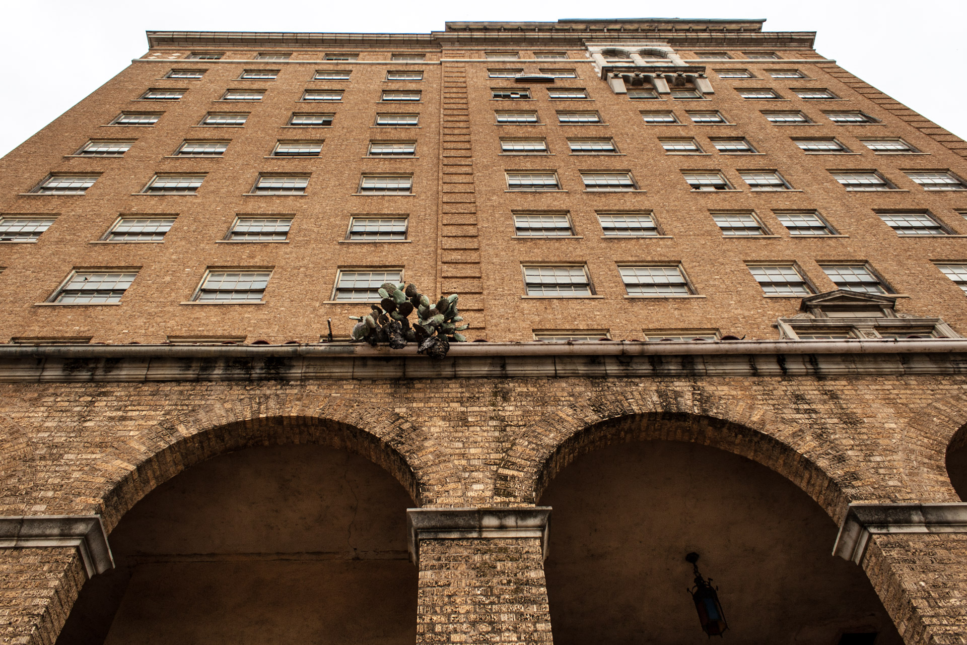 The Baker Hotel Part 2 (front cactus)