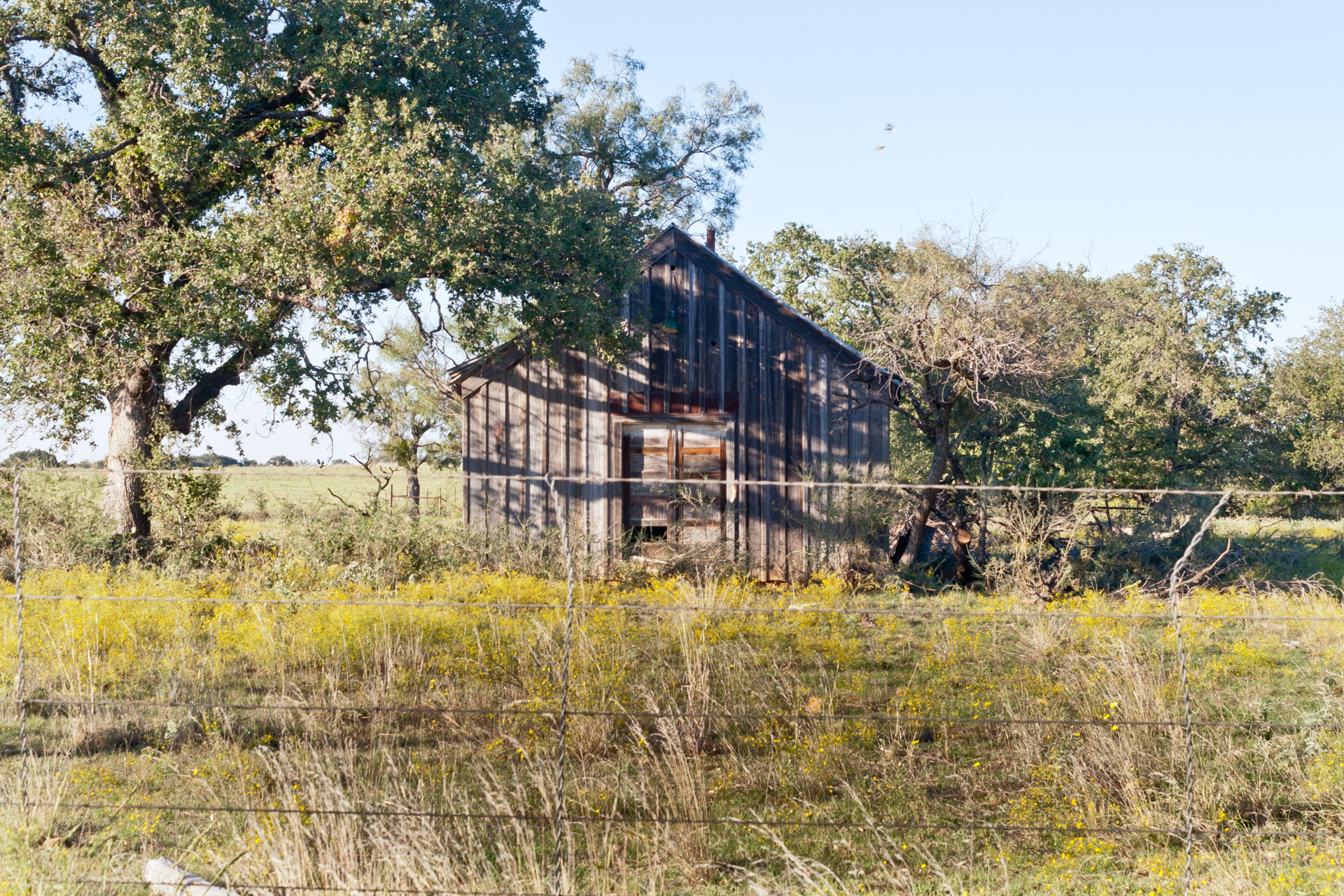 Mason County, Texas - The Broken Windows House (front far)