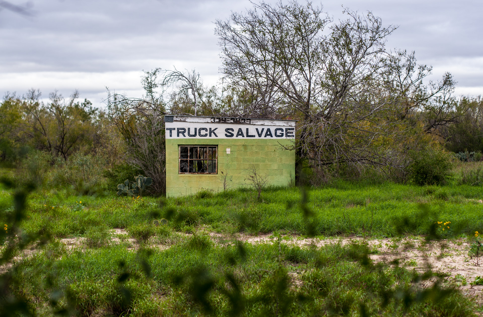 Pearsall, Texas - The Lime Green Salvage Yard (truck close)
