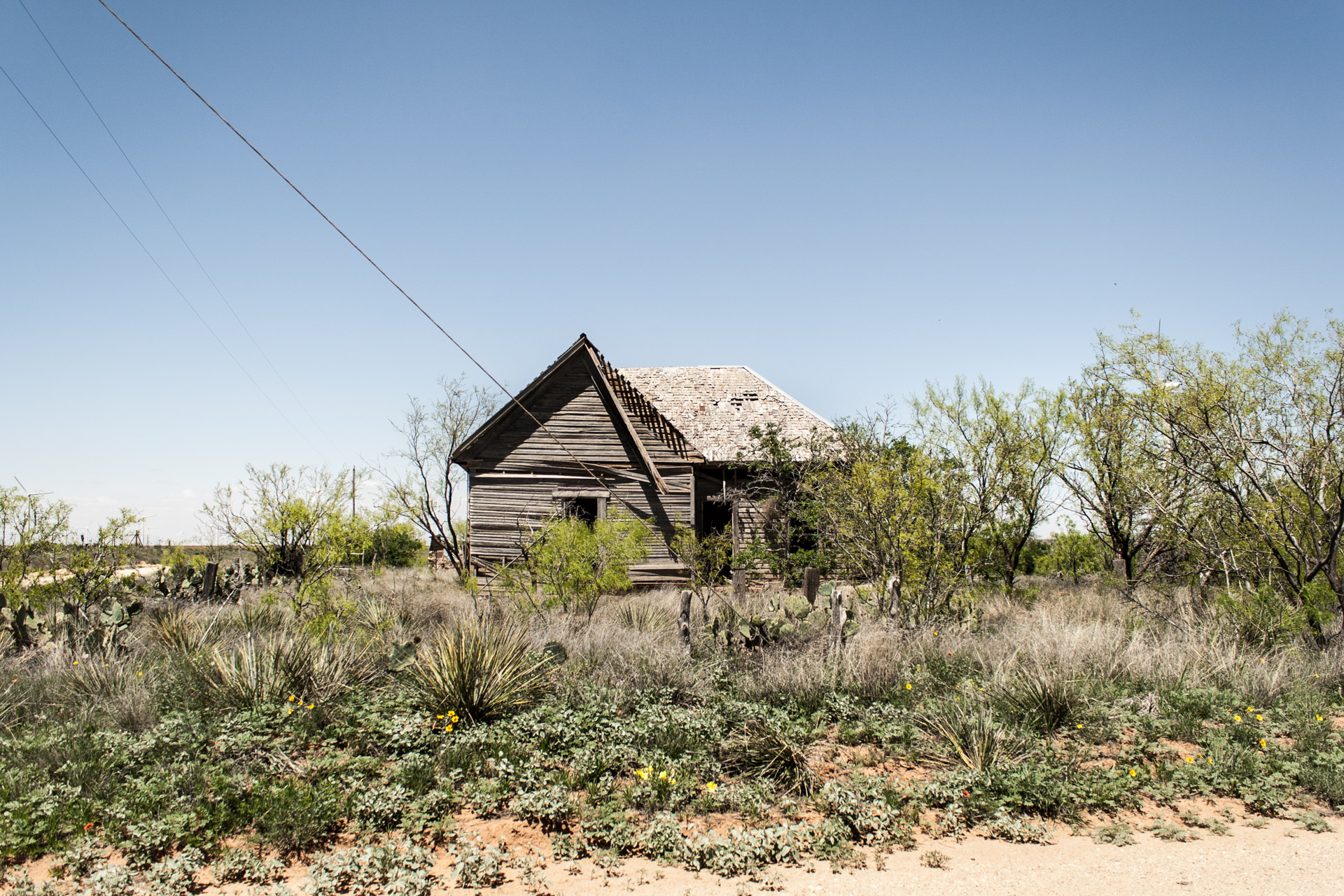 Wind Turbine Community Wooden House (front far)