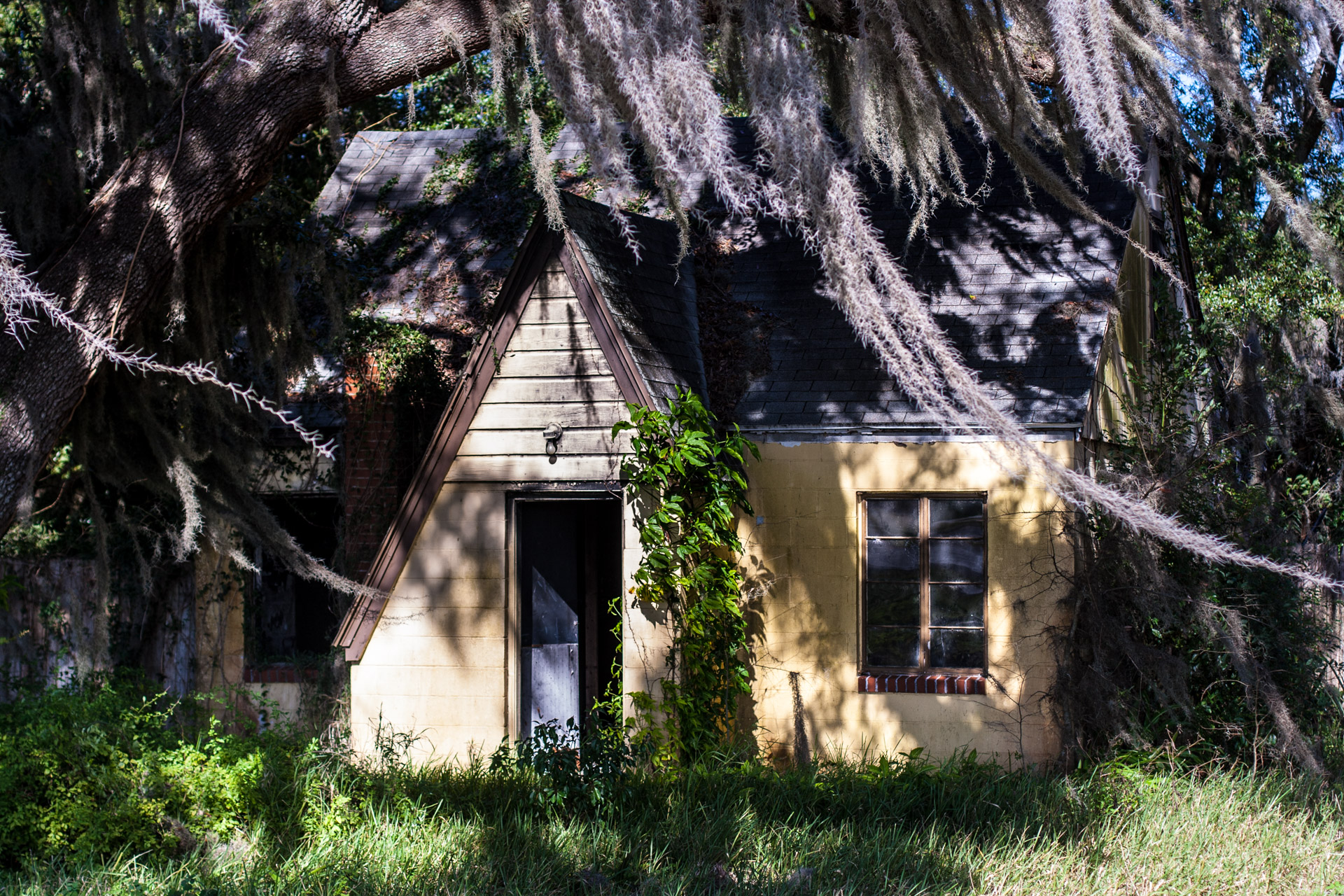 Leesburg, Florida - Wispy Tree House (front close)