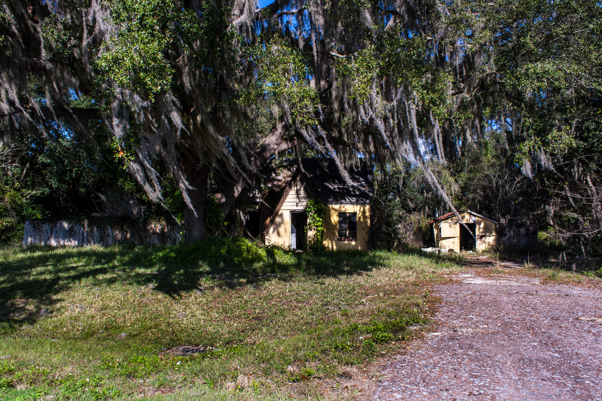 Leesburg, Florida - Wispy Tree House (front far)