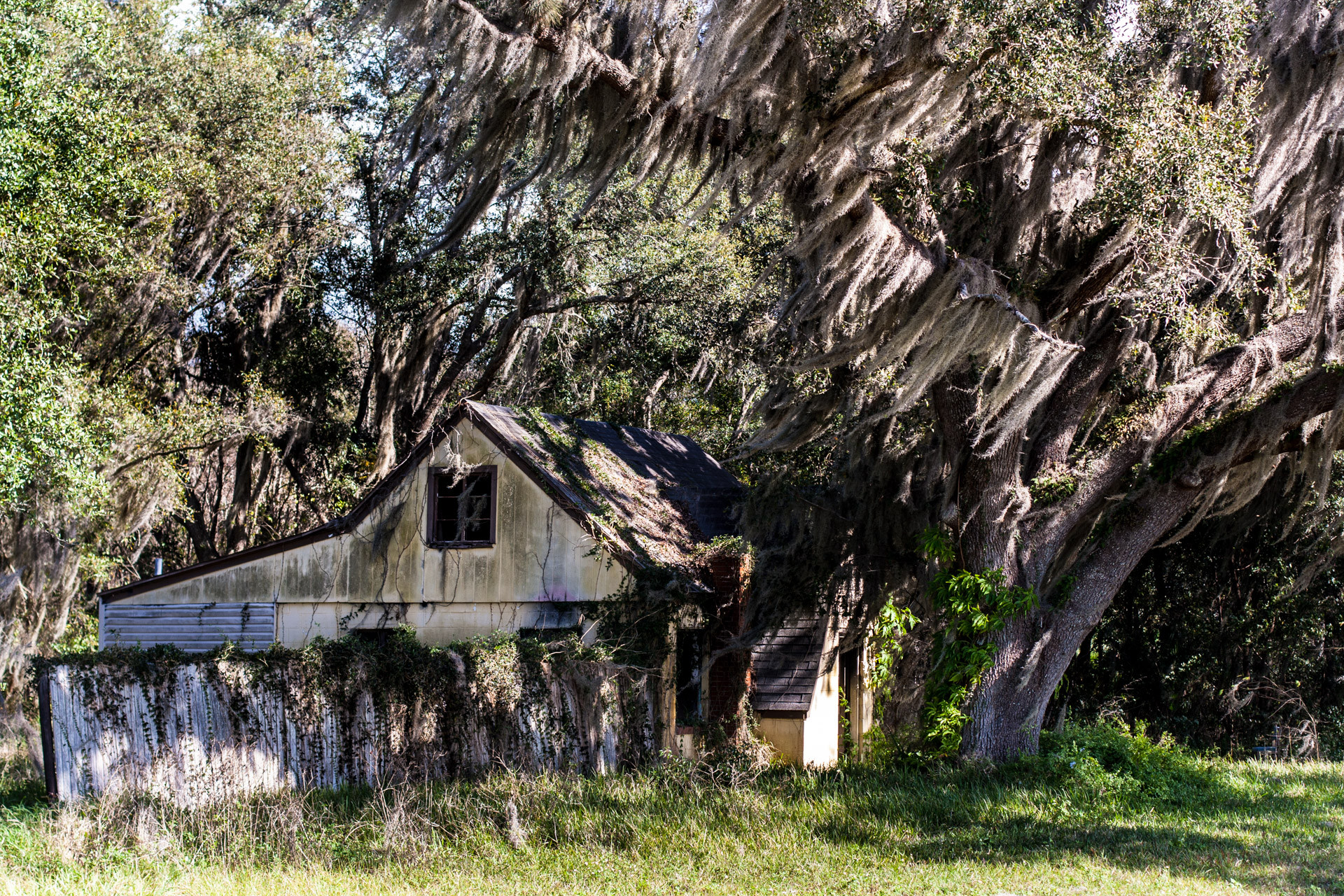 Leesburg, Florida - Wispy Tree House (side far)
