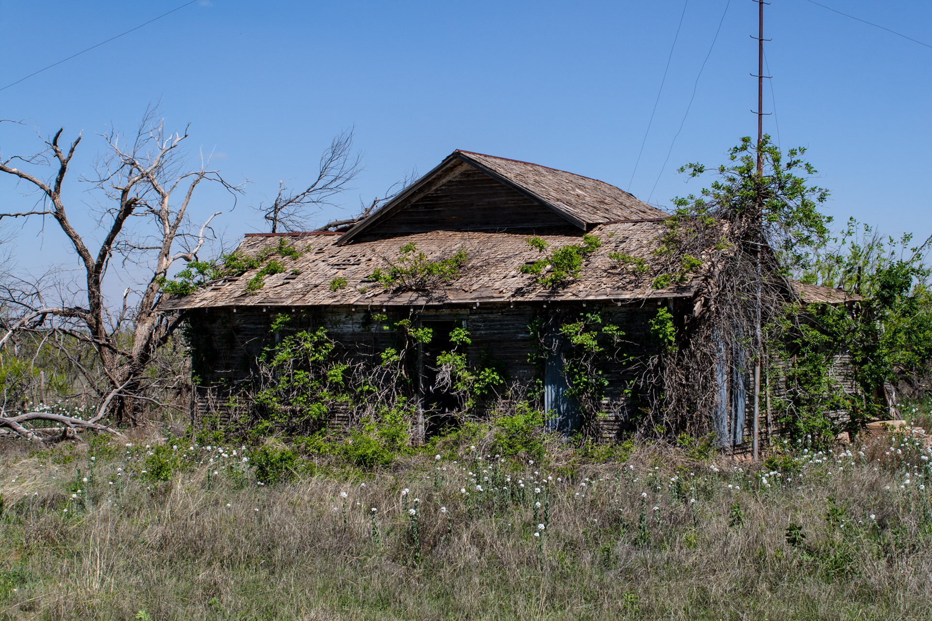 A Growing House (angle close)