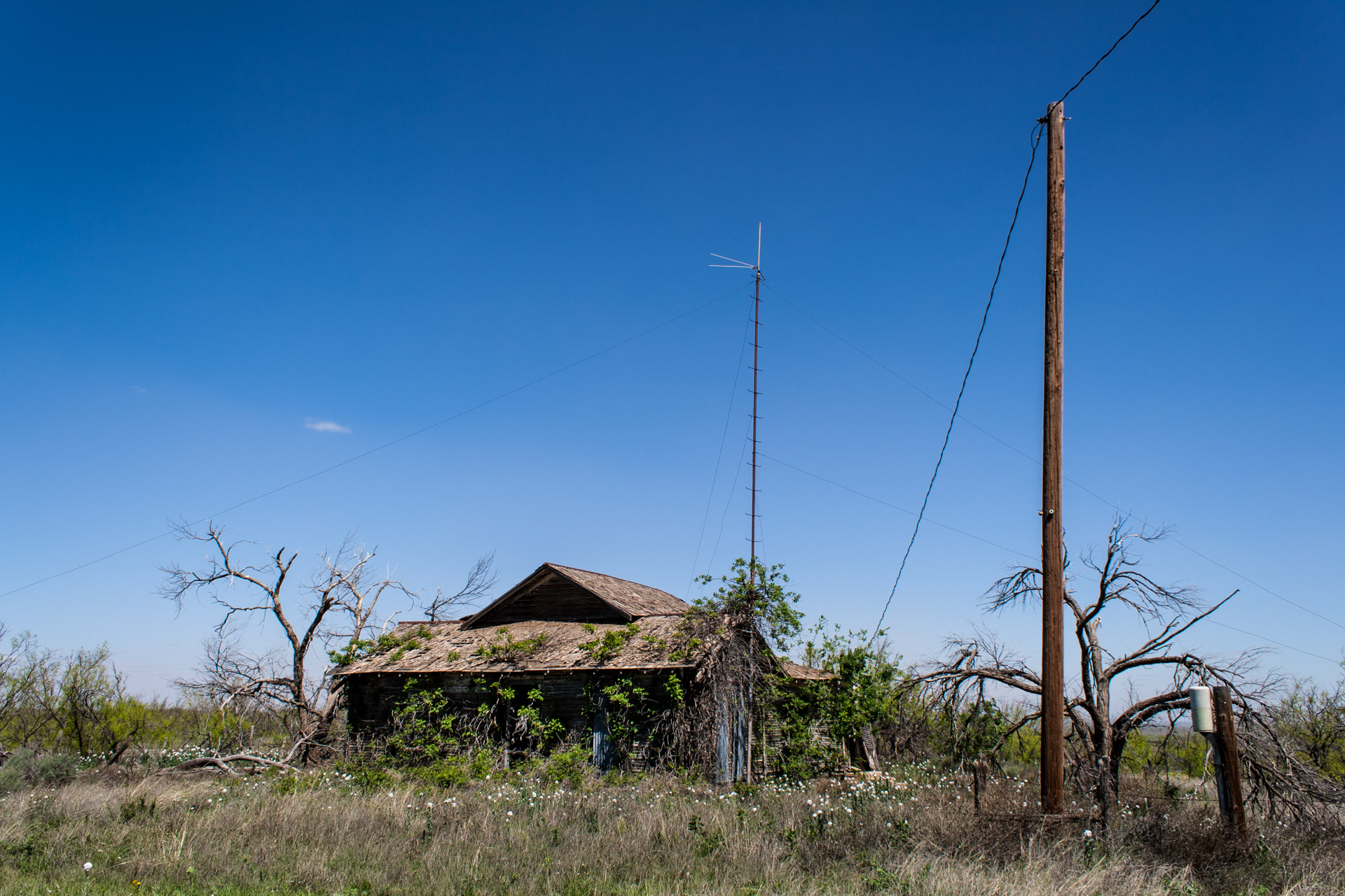 Post, Texas - A Growing House