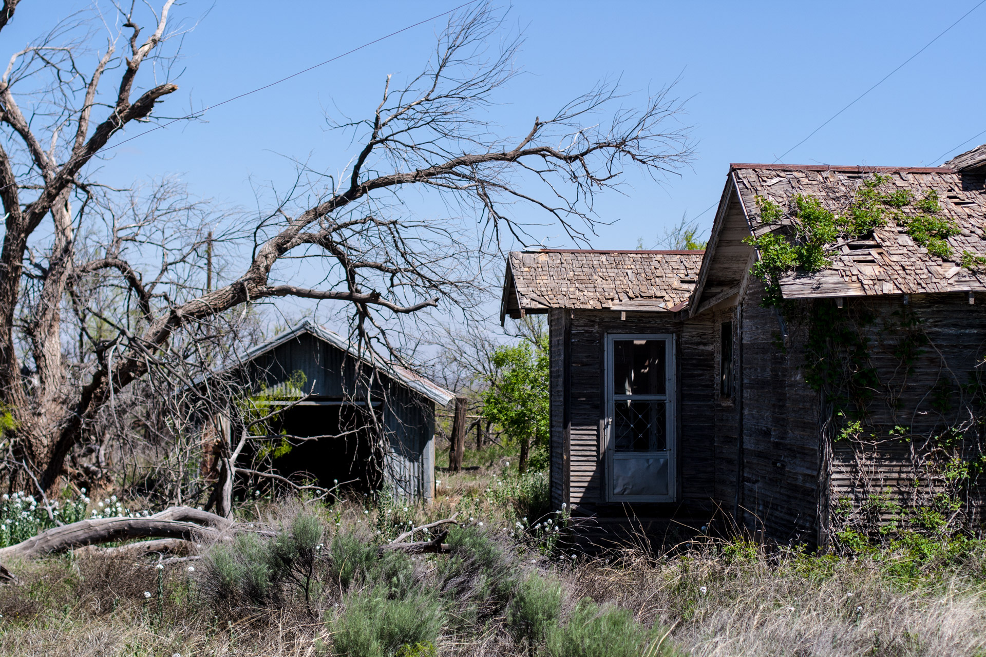 A Growing House (door close)