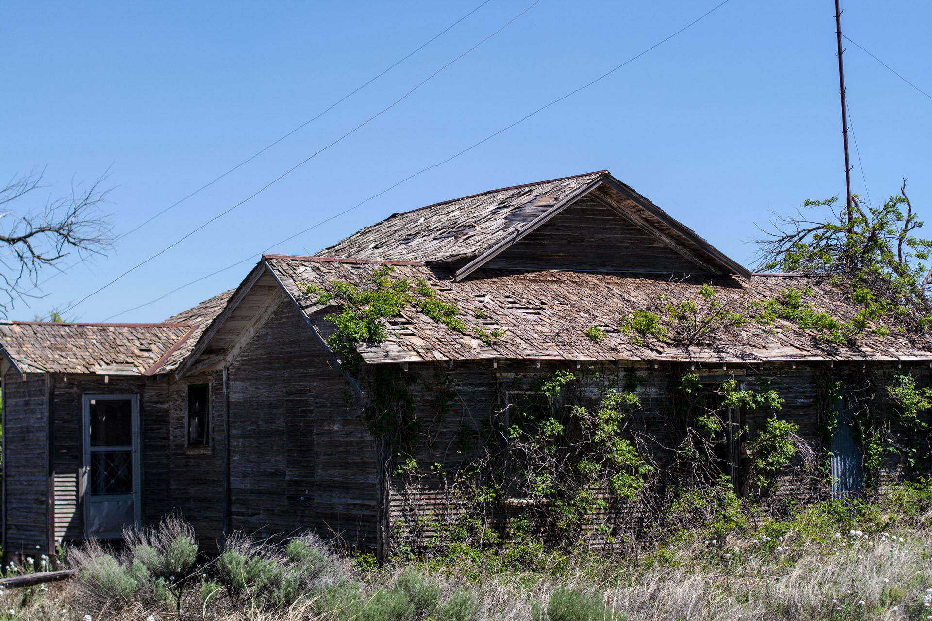 A Growing House (door far)