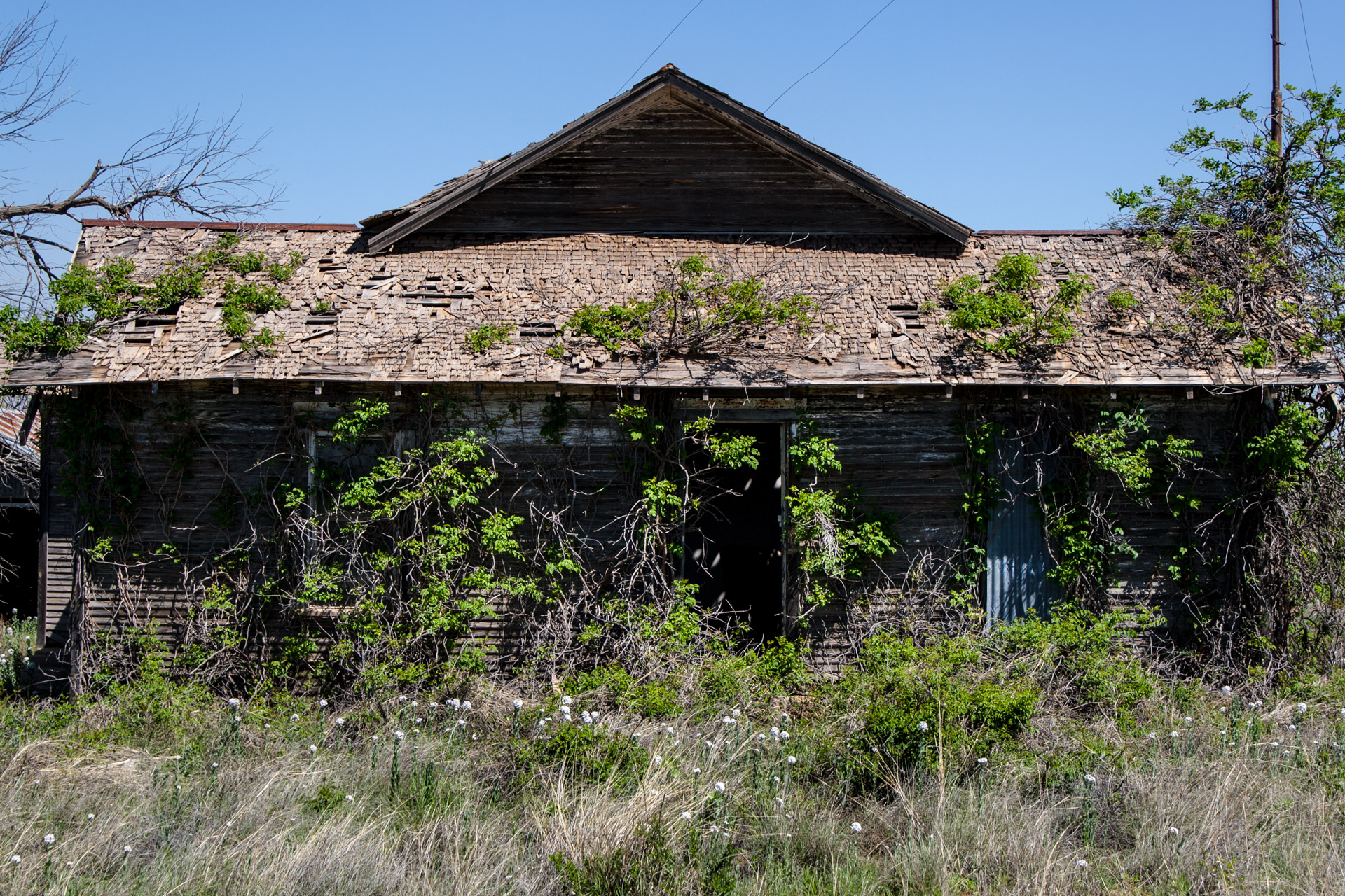 A Growing House (front close)