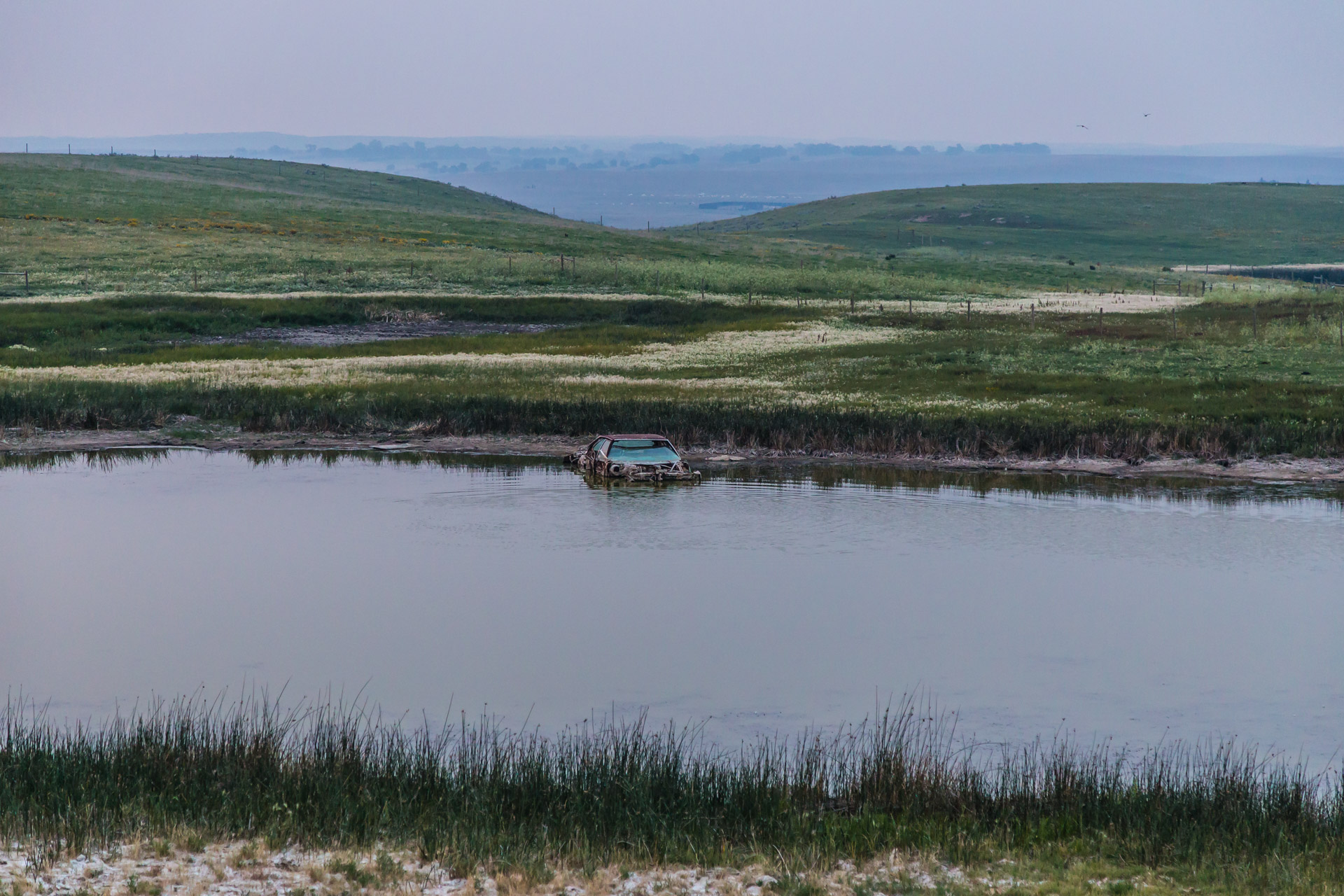 A Horse And Its Abandoned Car (car pond)