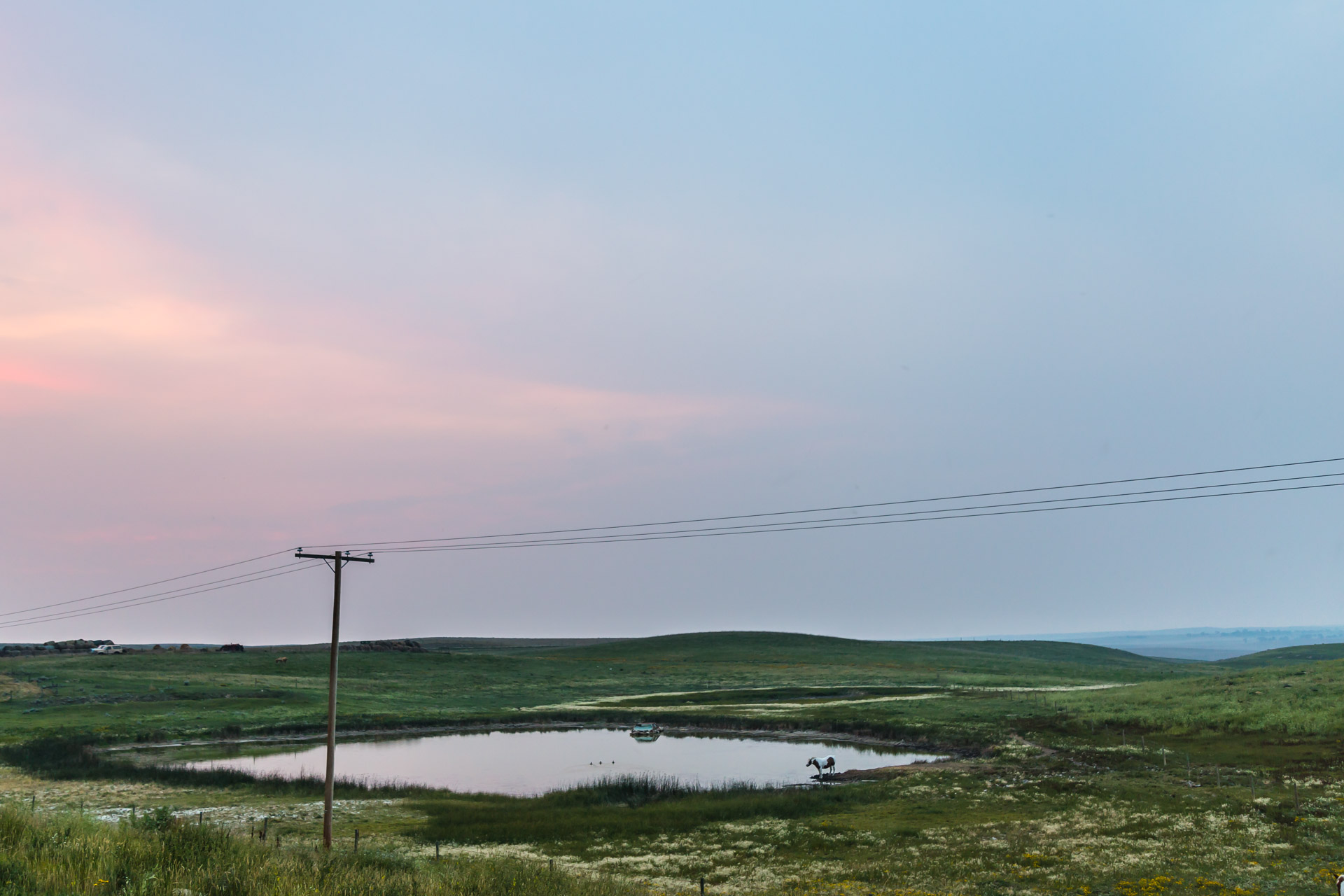 A Horse And Its Abandoned Car (far pond)