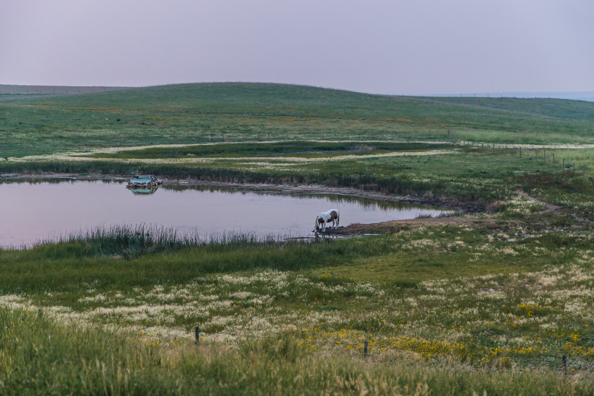 A Horse And Its Abandoned Car (mid sunset pond)