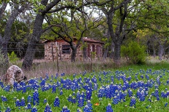 Burnet, Texas - A Red Stone Cottage With Bluebonnets