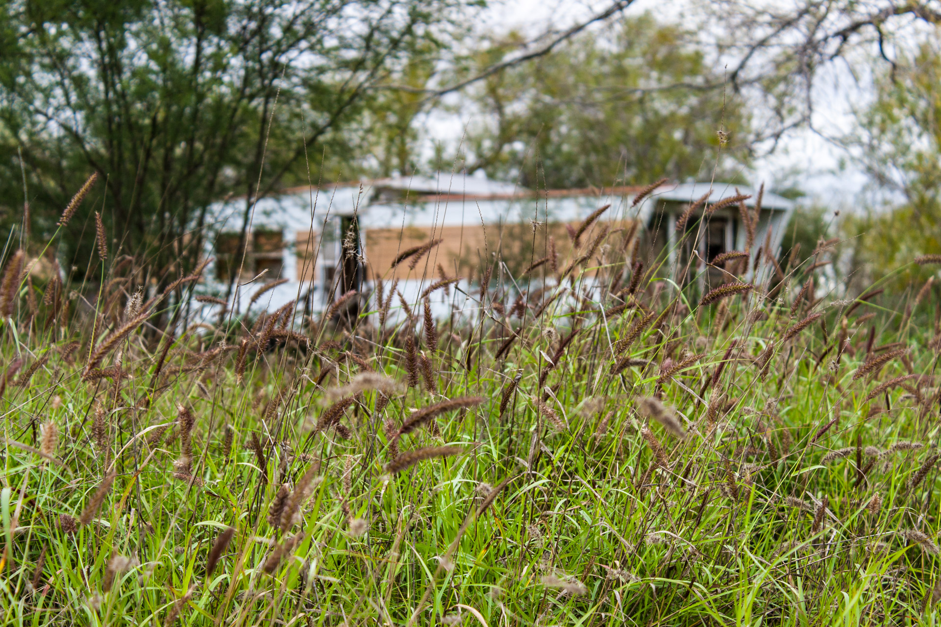 Pearsall, Texas - A Ruin, A Trailer, And Some Tires (trailer blur)