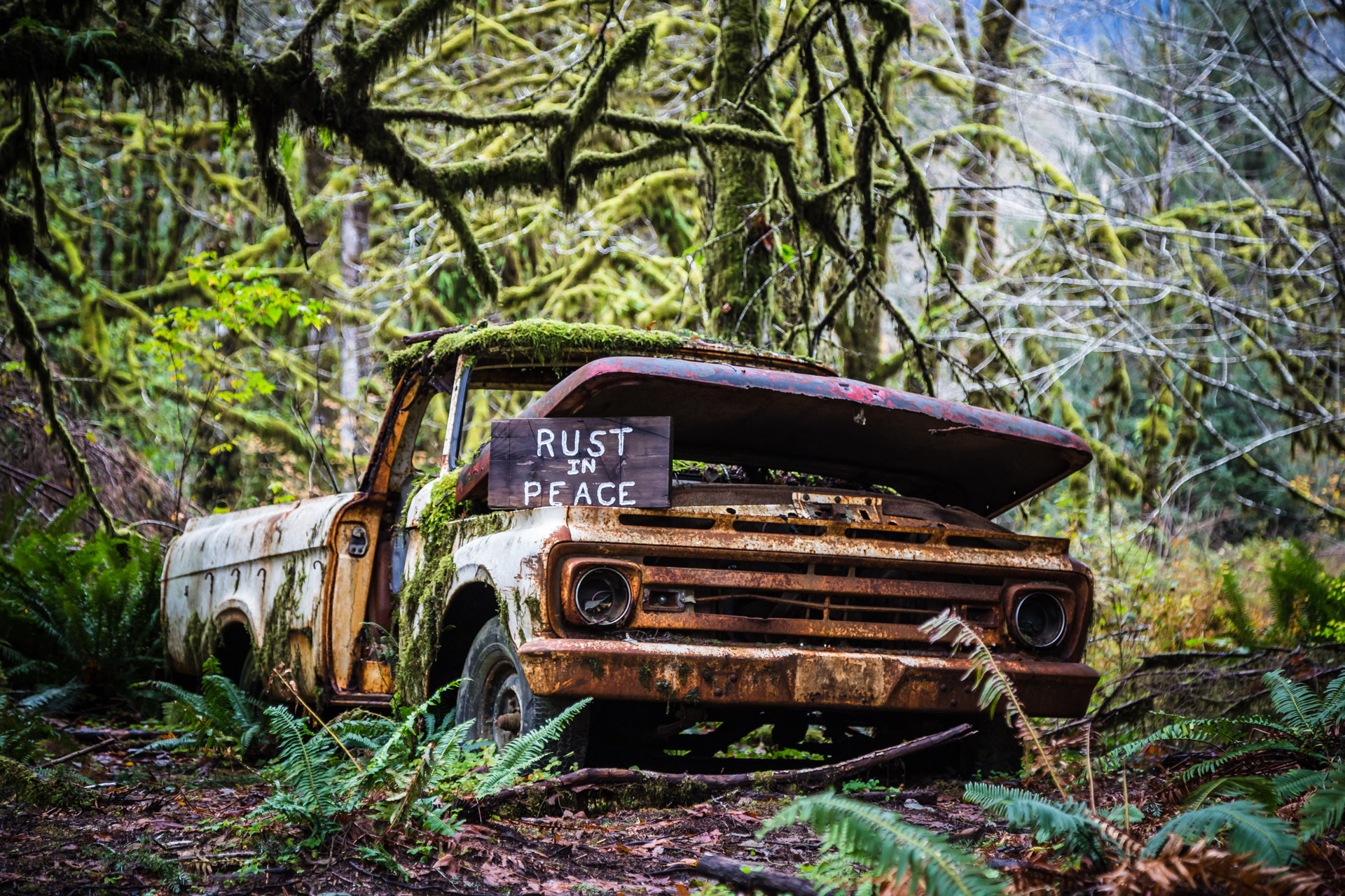 Olympic National Park, Washington - A Rusty Forest Truck