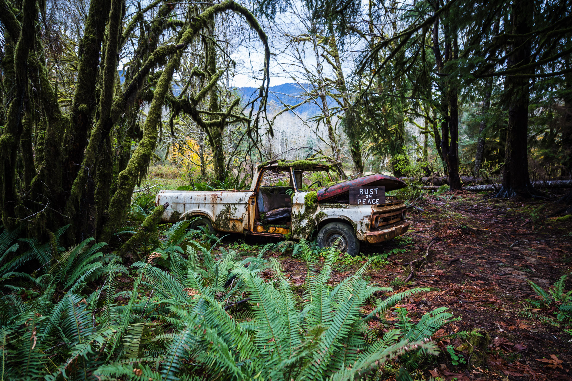 Rusty Forest Truck (far side)
