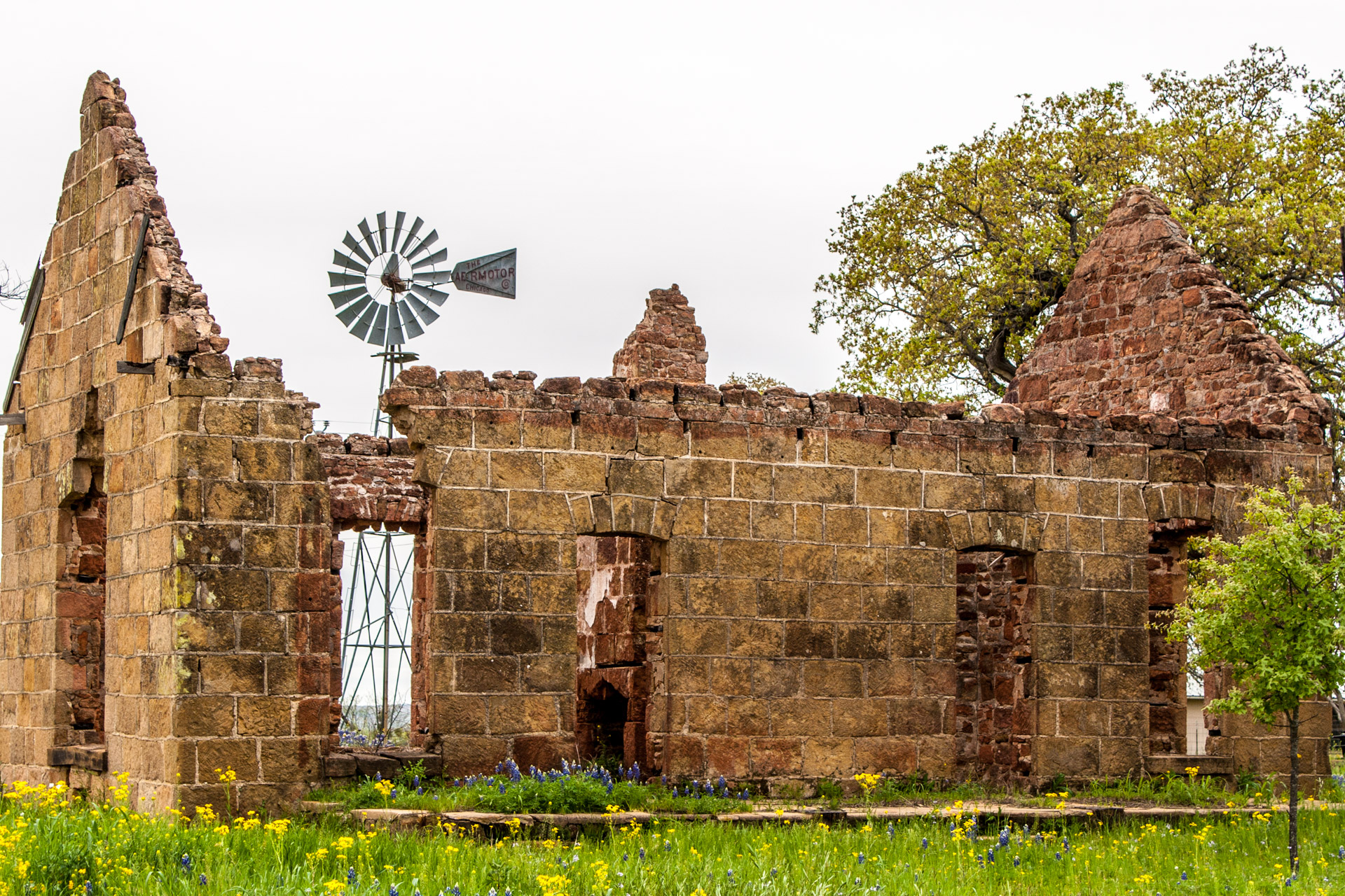 Pontotoc, Texas - A Stone Ruin With Bluebonnets (angle close)