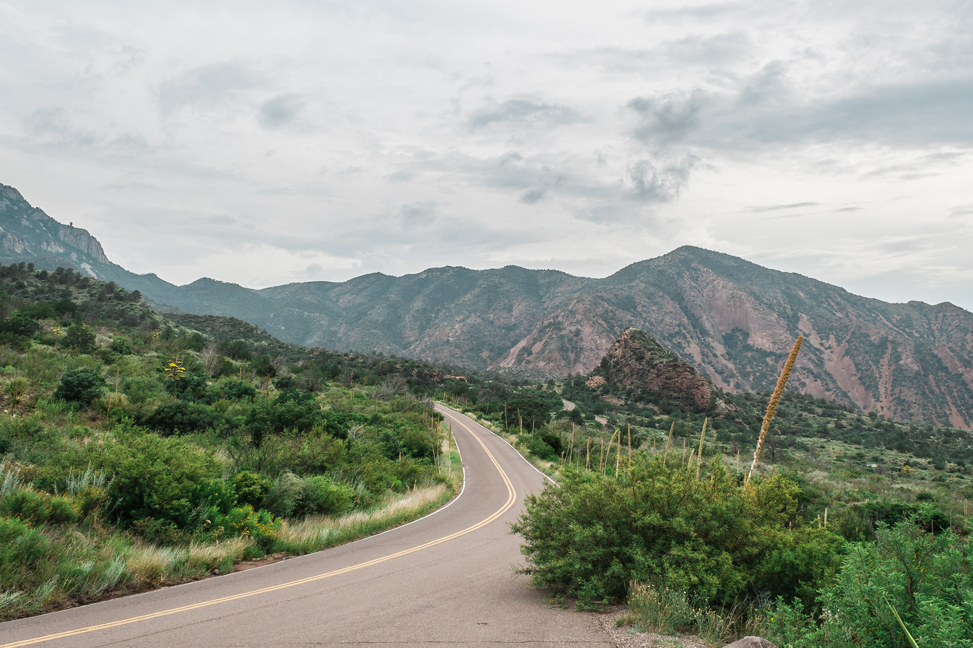 Behind The Road Trip Photos (big bend road)