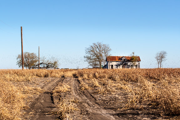 Coupland, Texas - Birds and Shadows Farmhouse