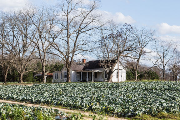 Tifton, Georgia - Cabbage Patch House