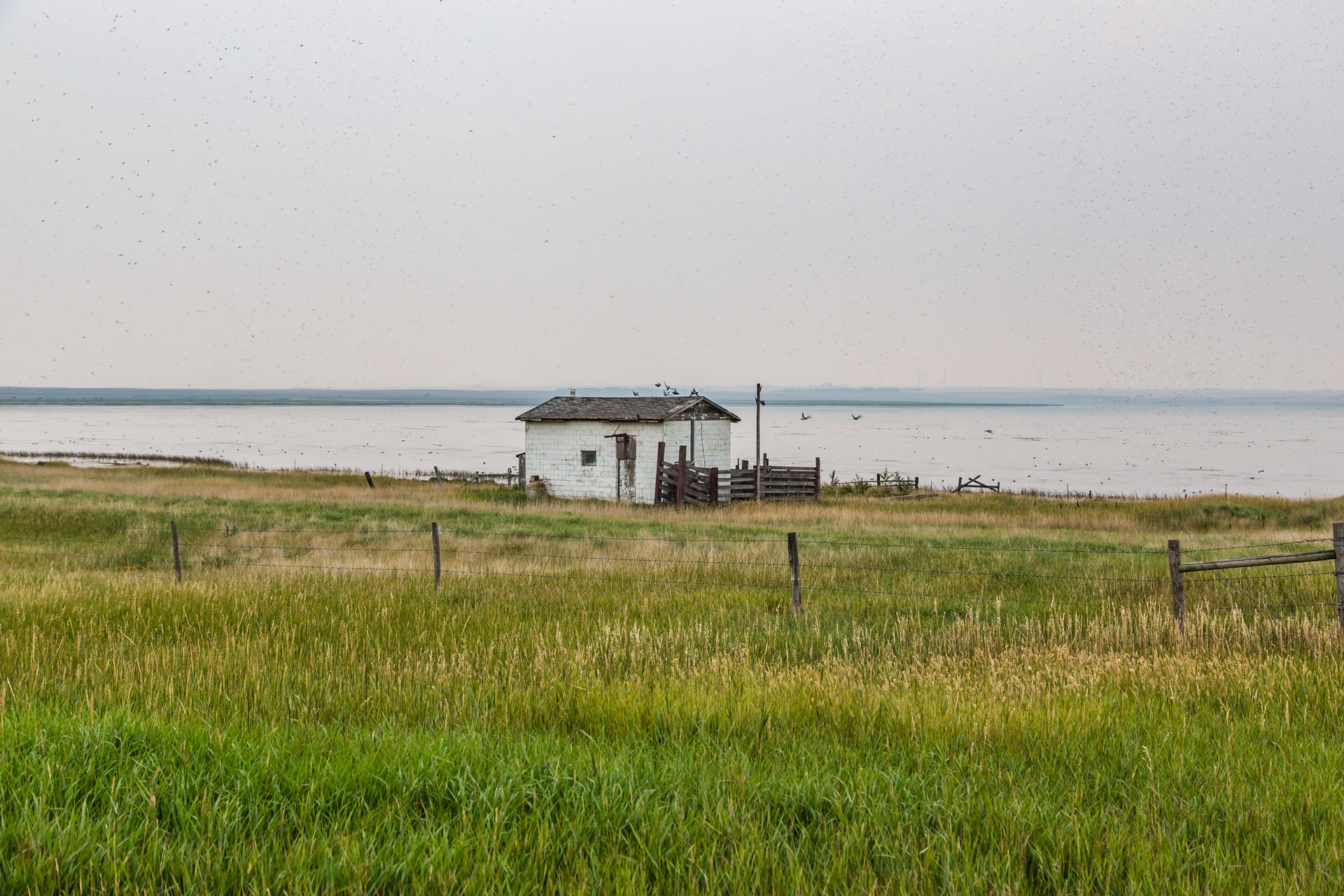 Morse, Saskatchewan, Canada - Lakeside Shack