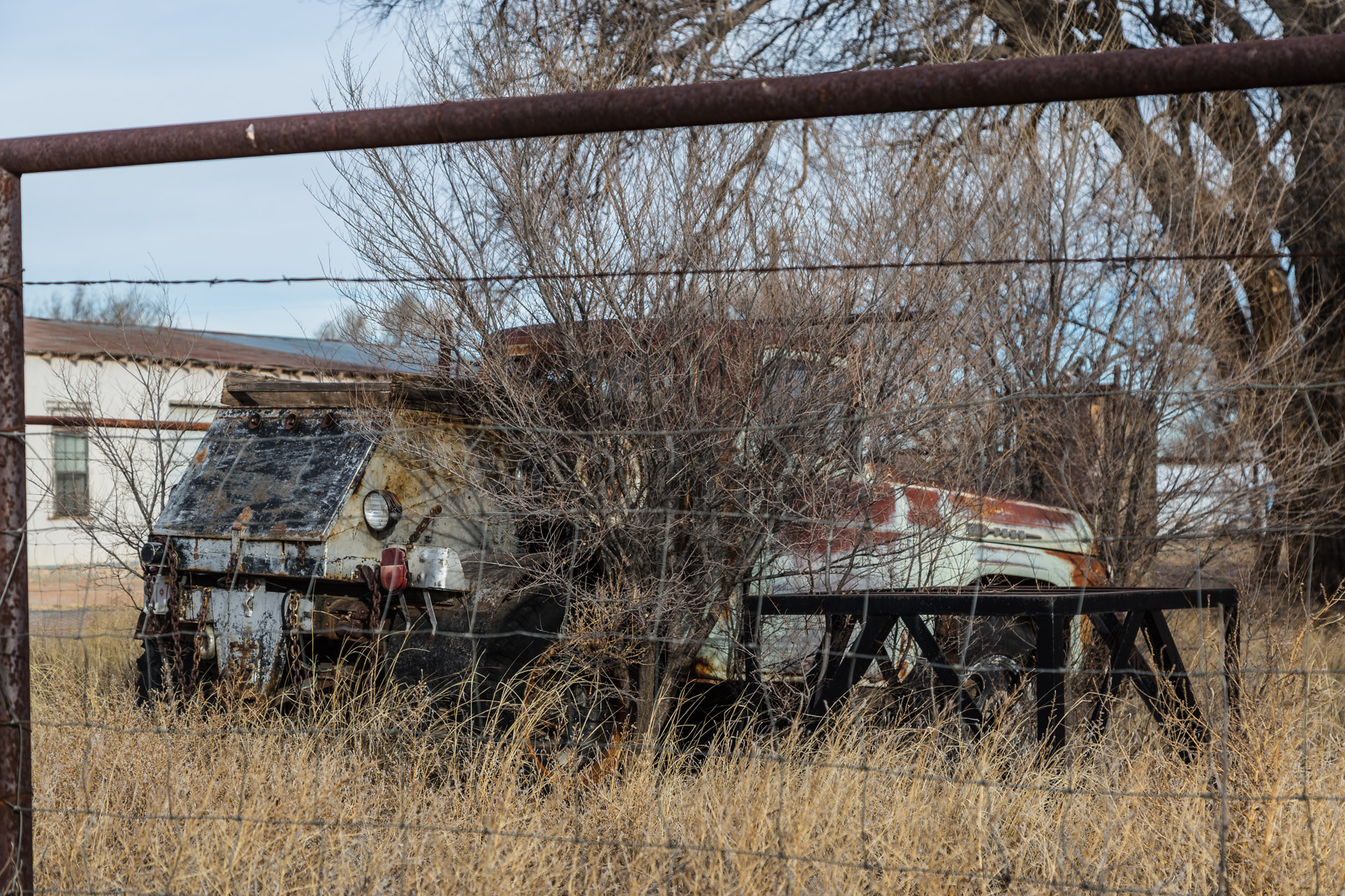 Lawn Vehicles (truck back)