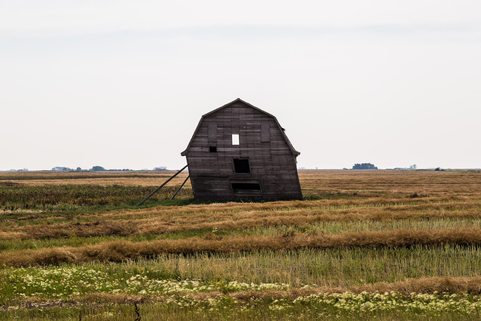 Loreburn, Saskatchewan, Canada - Lean-To Barn