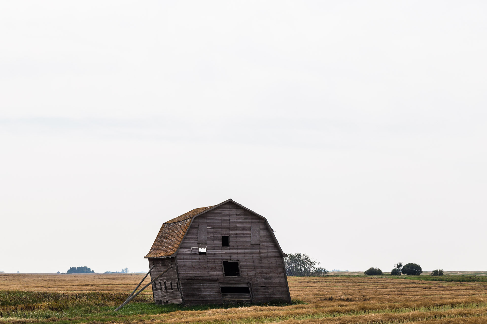 Lean To Barn (left side far)