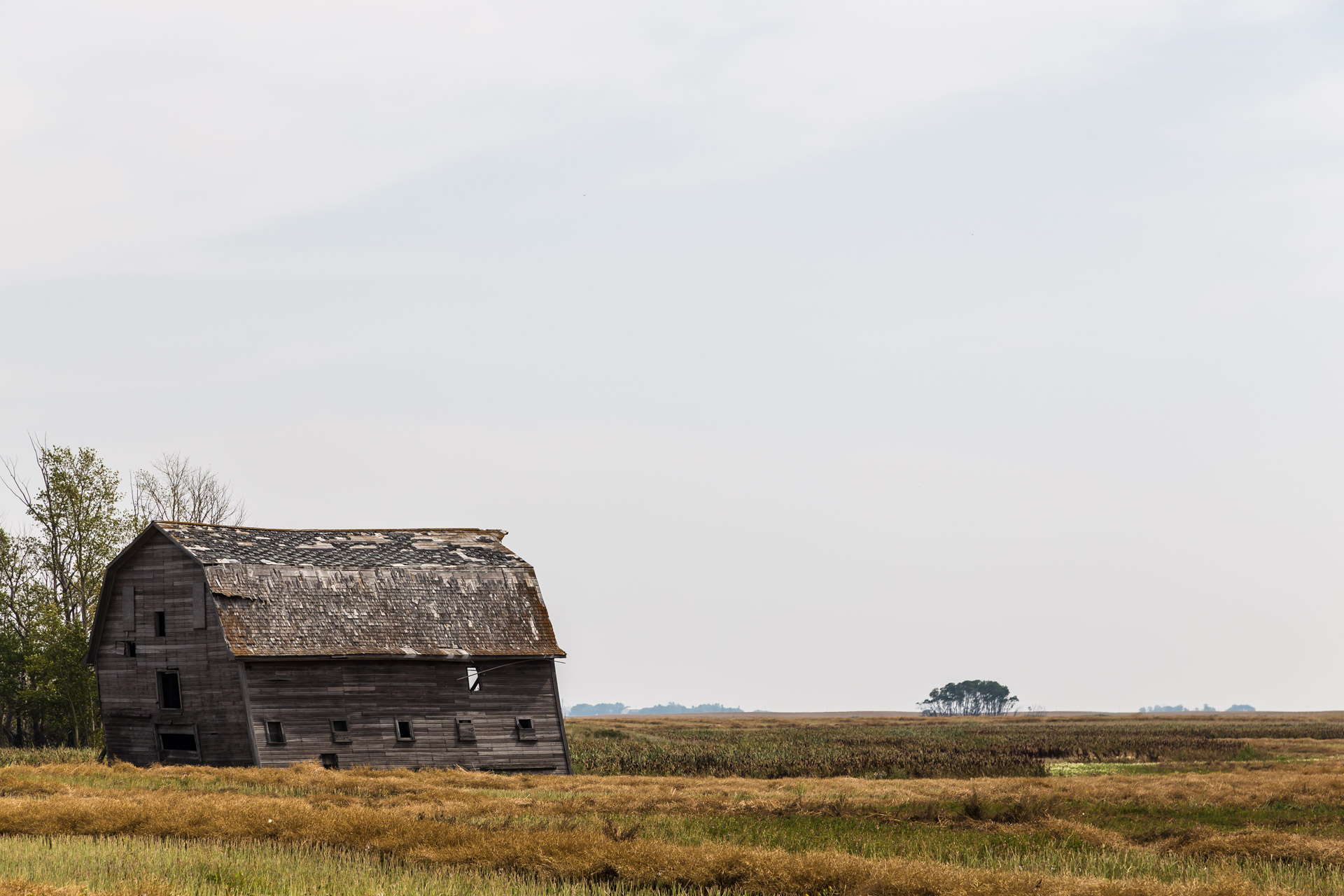 Lean To Barn (right side far)