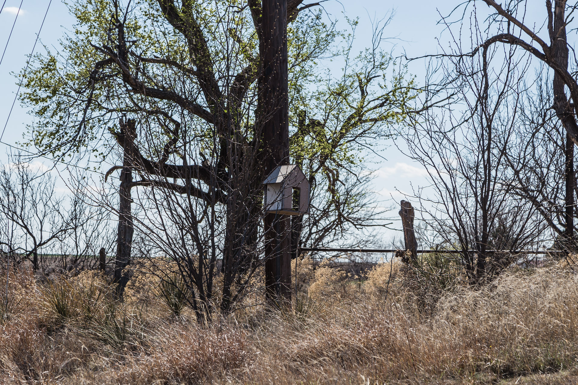 Matching Birdhouse Home (birdhouse)