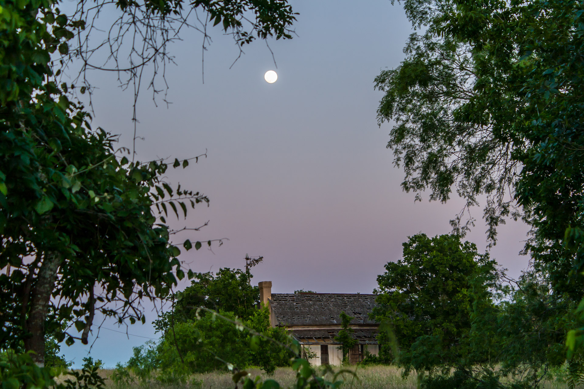 Out of Sight House At Sunset (front far)